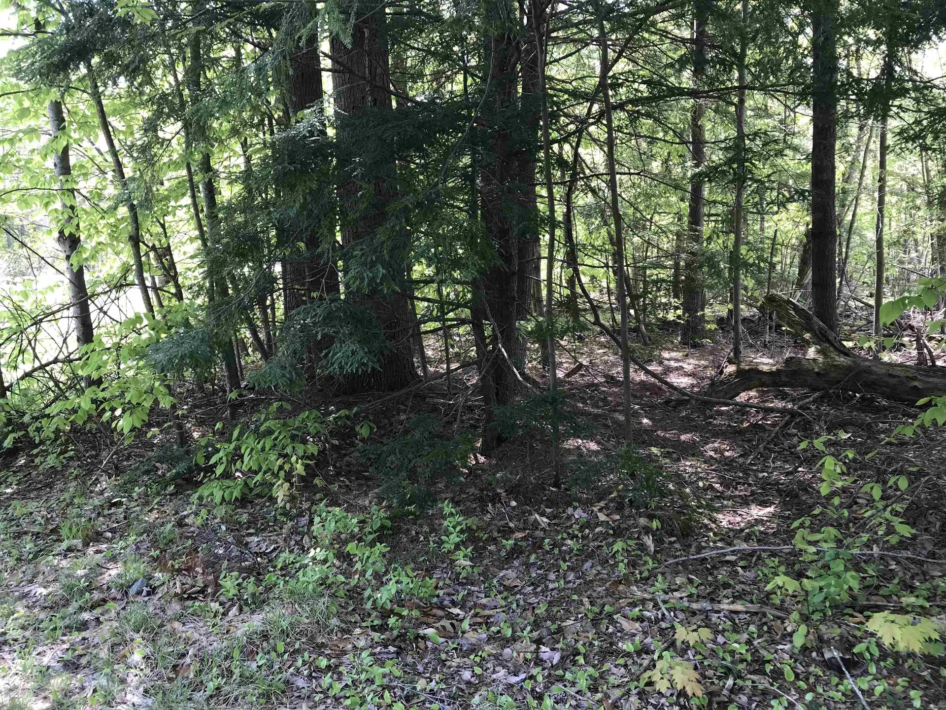 42-11 Route 9 Stoddard NH 03464