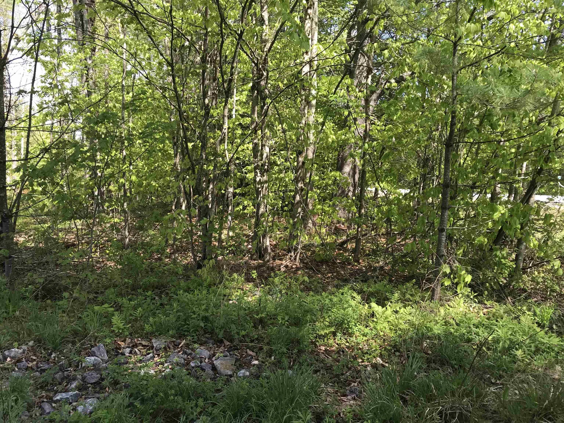 42-11 Route 9 Stoddard NH 03464