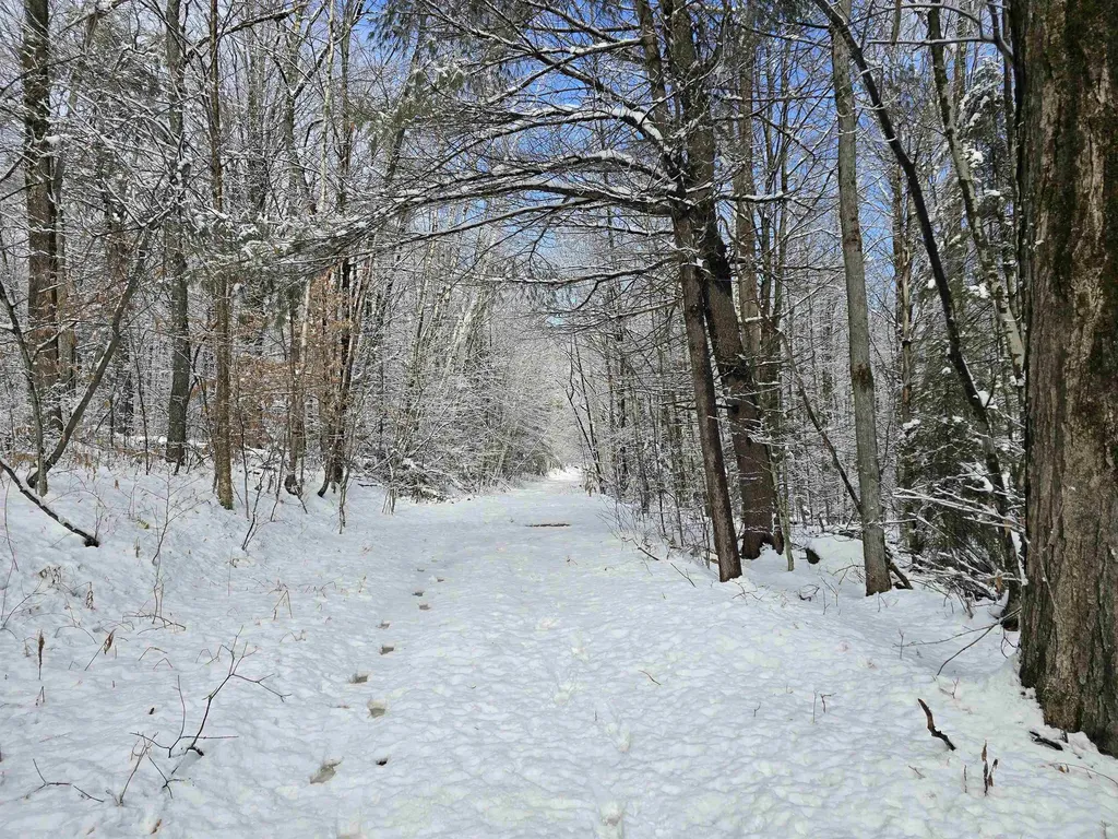 0 Magee Road Stamford VT 05352