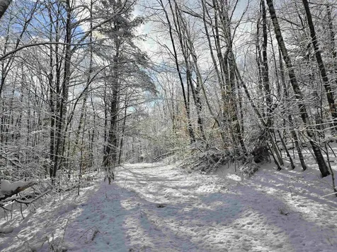 0 Magee Road Stamford VT 05352