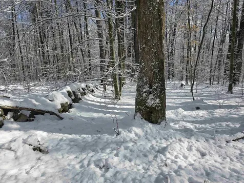 0 Magee Road Stamford VT 05352