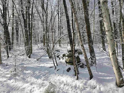 0 Magee Road Stamford VT 05352