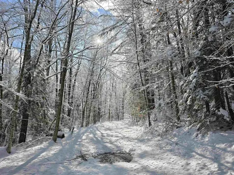 0 Magee Road Stamford VT 05352