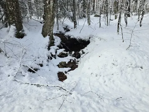 0 Magee Road Stamford VT 05352
