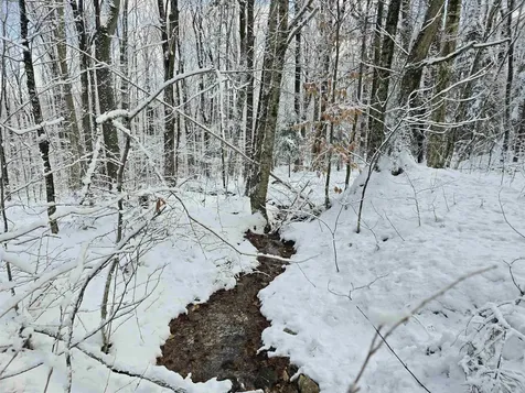 0 Magee Road Stamford VT 05352