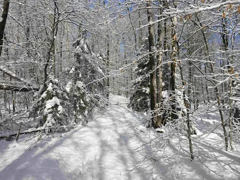 0 Magee Road Stamford VT 05352