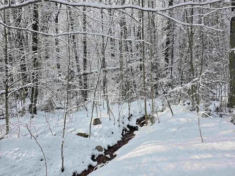 0 Magee Road Stamford VT 05352