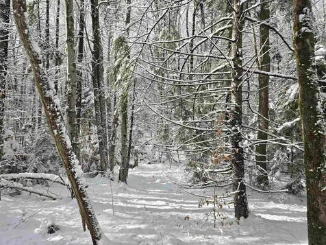 0 Magee Road Stamford VT 05352