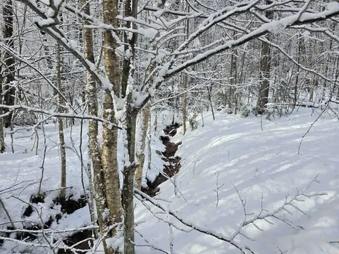 0 Magee Road Stamford VT 05352