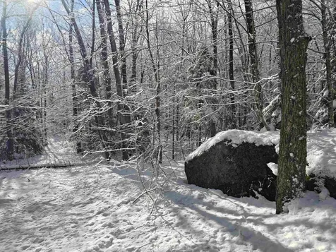 0 Magee Road Stamford VT 05352