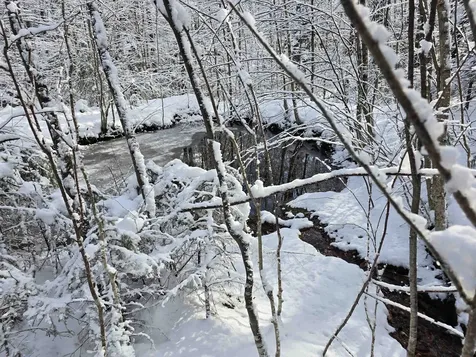 0 Magee Road Stamford VT 05352