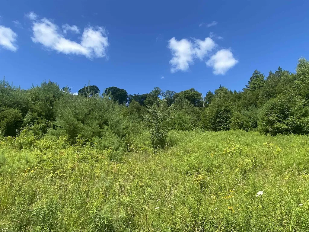 00 Grout Road Cavendish VT 05153