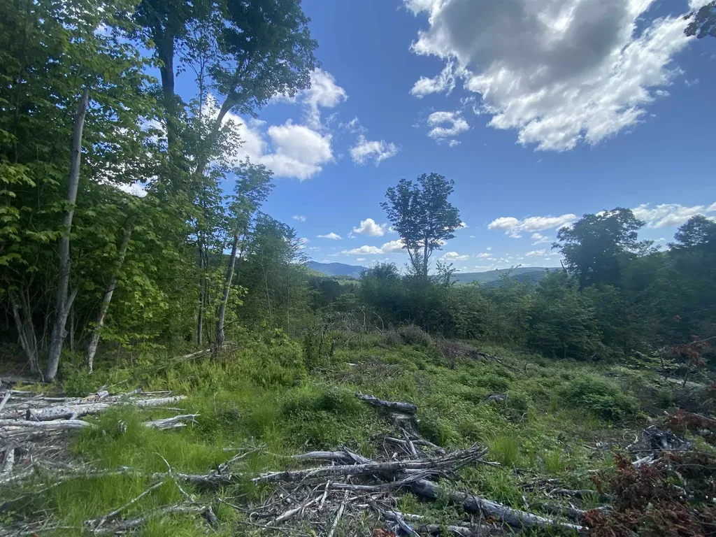 00 Grout Road Cavendish VT 05153