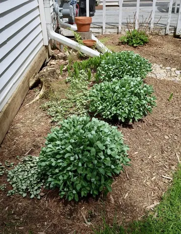 124 Southview Lane Williston VT 05495