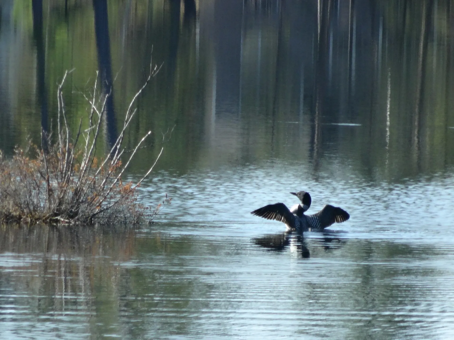 350 Concord Lane Wakefield NH 03830