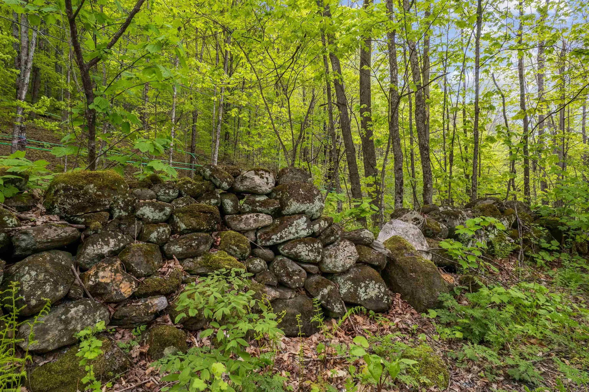 Noah Wood Road Woodstock VT 05071