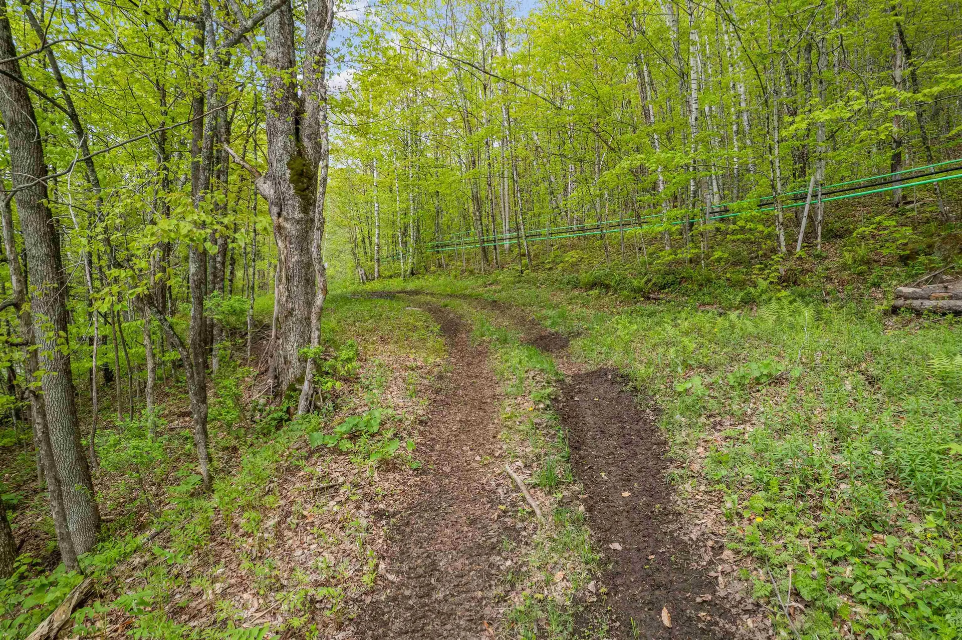 Noah Wood Road Woodstock VT 05071