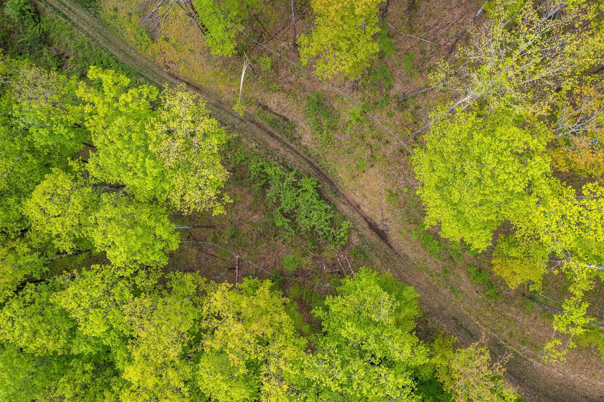 Noah Wood Road Woodstock VT 05071