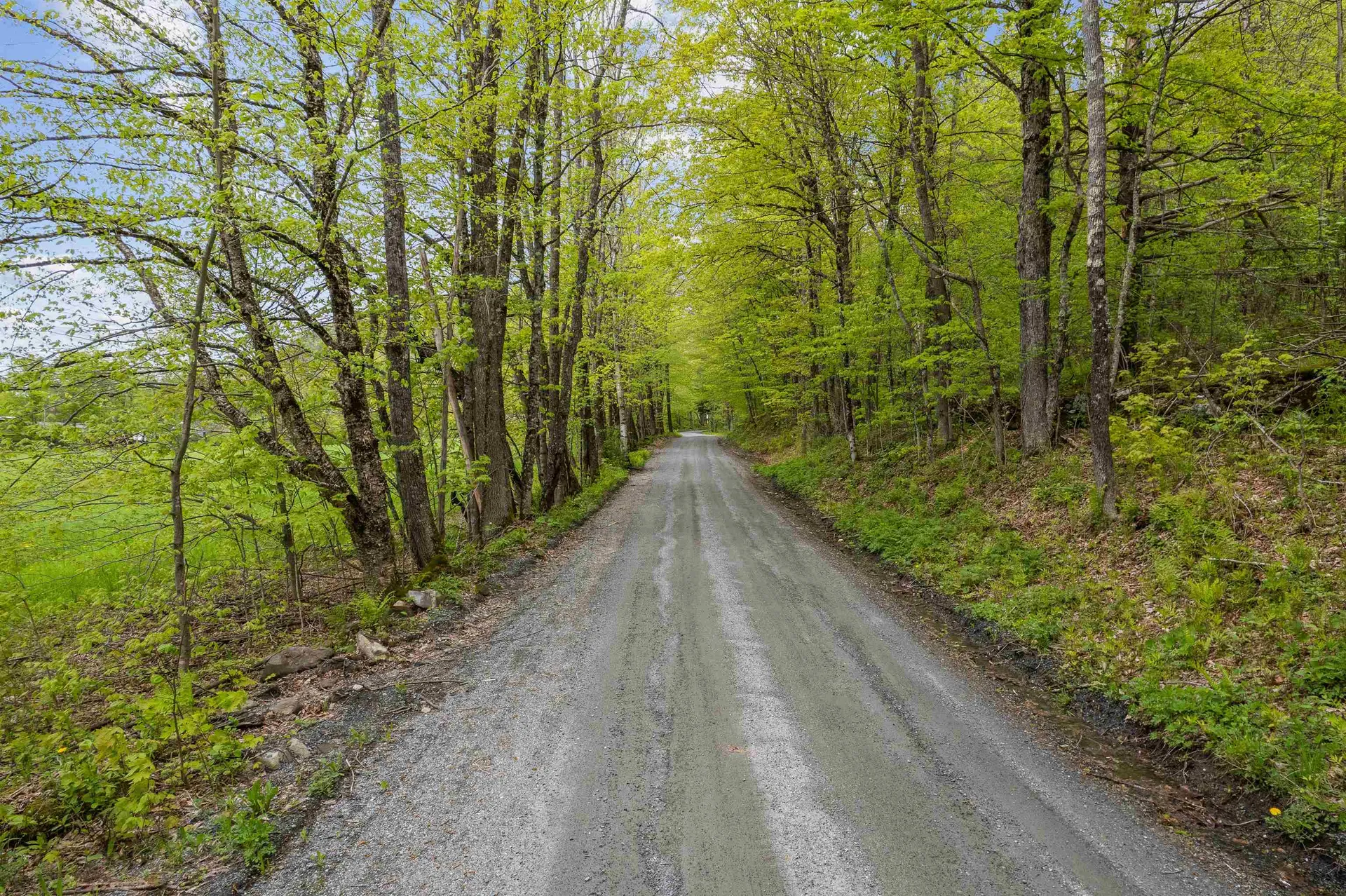 Noah Wood Road Woodstock VT 05071