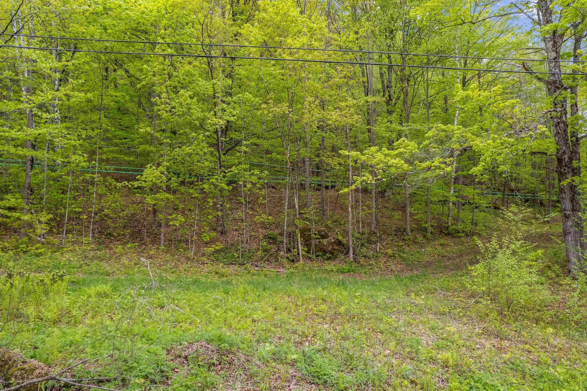 Noah Wood Road Woodstock VT 05071