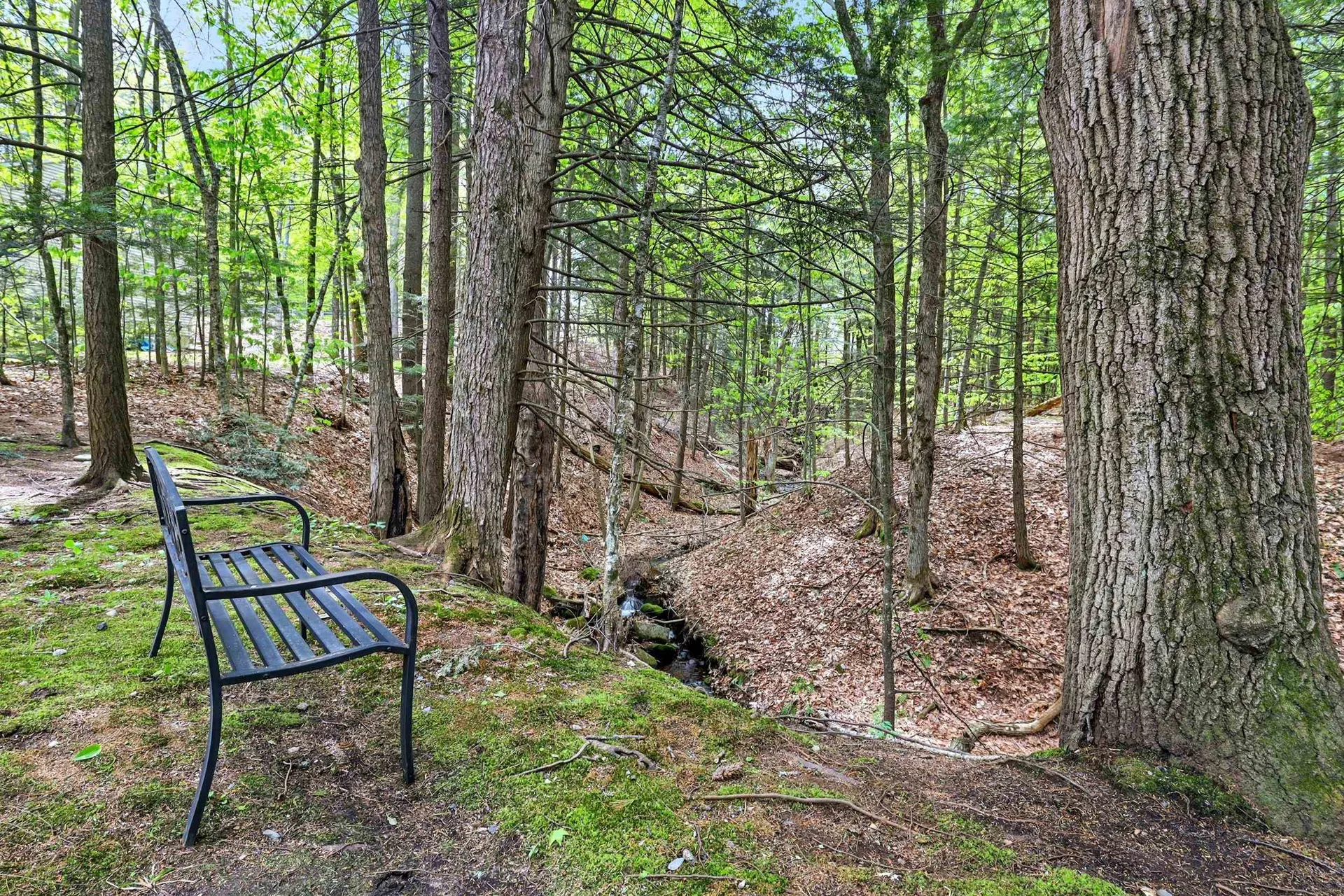 5 River Ridge Road Plymouth NH 03264