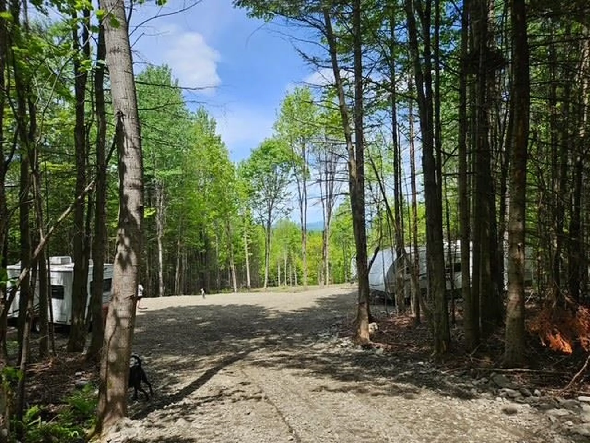 245 Haynes Drive Stewartstown NH 03576