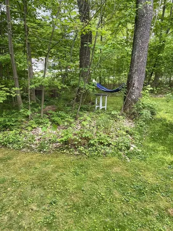 84 Jasper Lane Arlington VT 05250