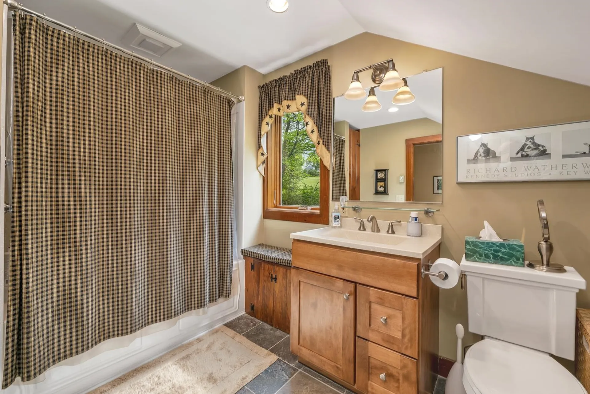 29 Lakeview Drive Wolfeboro NH 03894