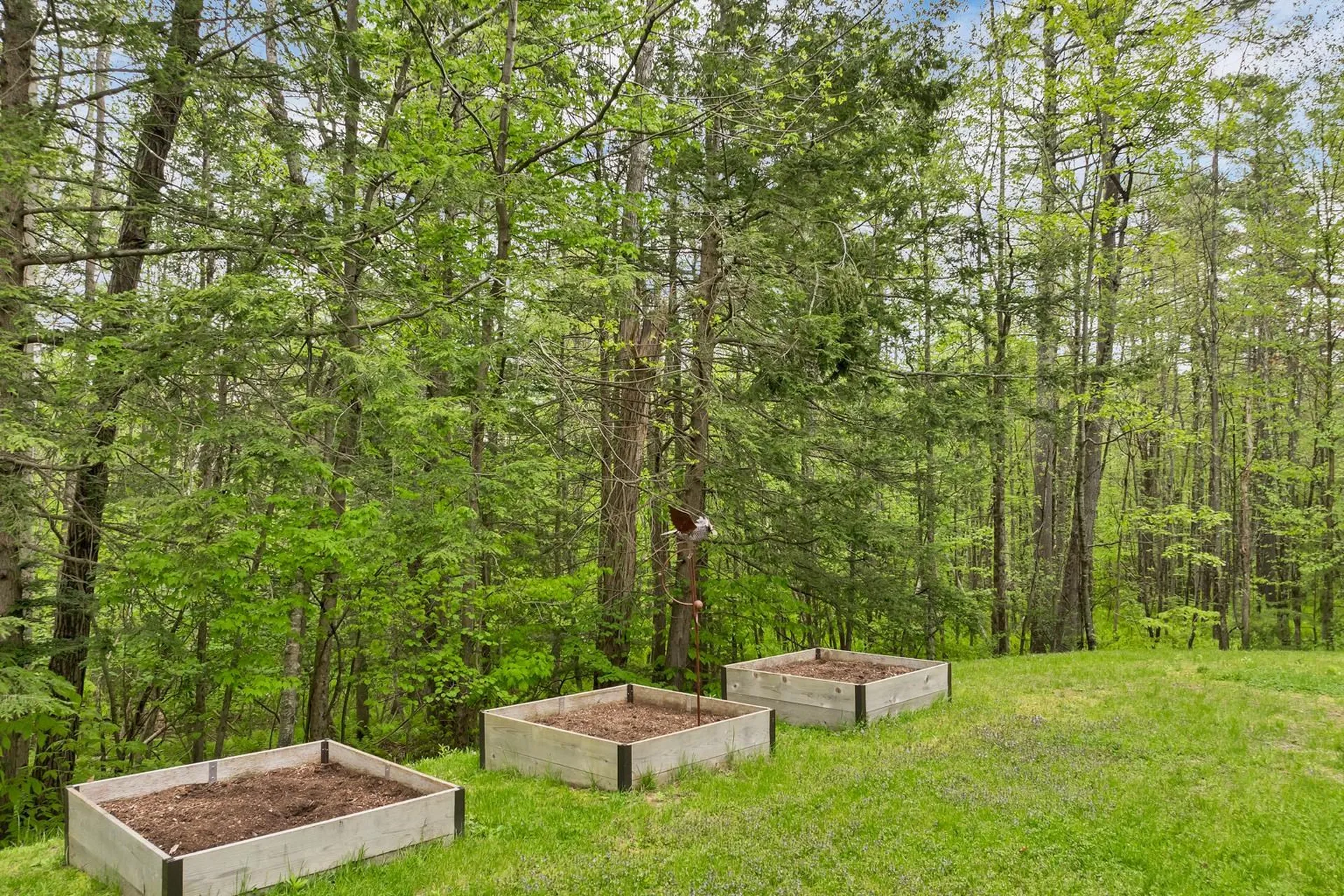 29 Lakeview Drive Wolfeboro NH 03894