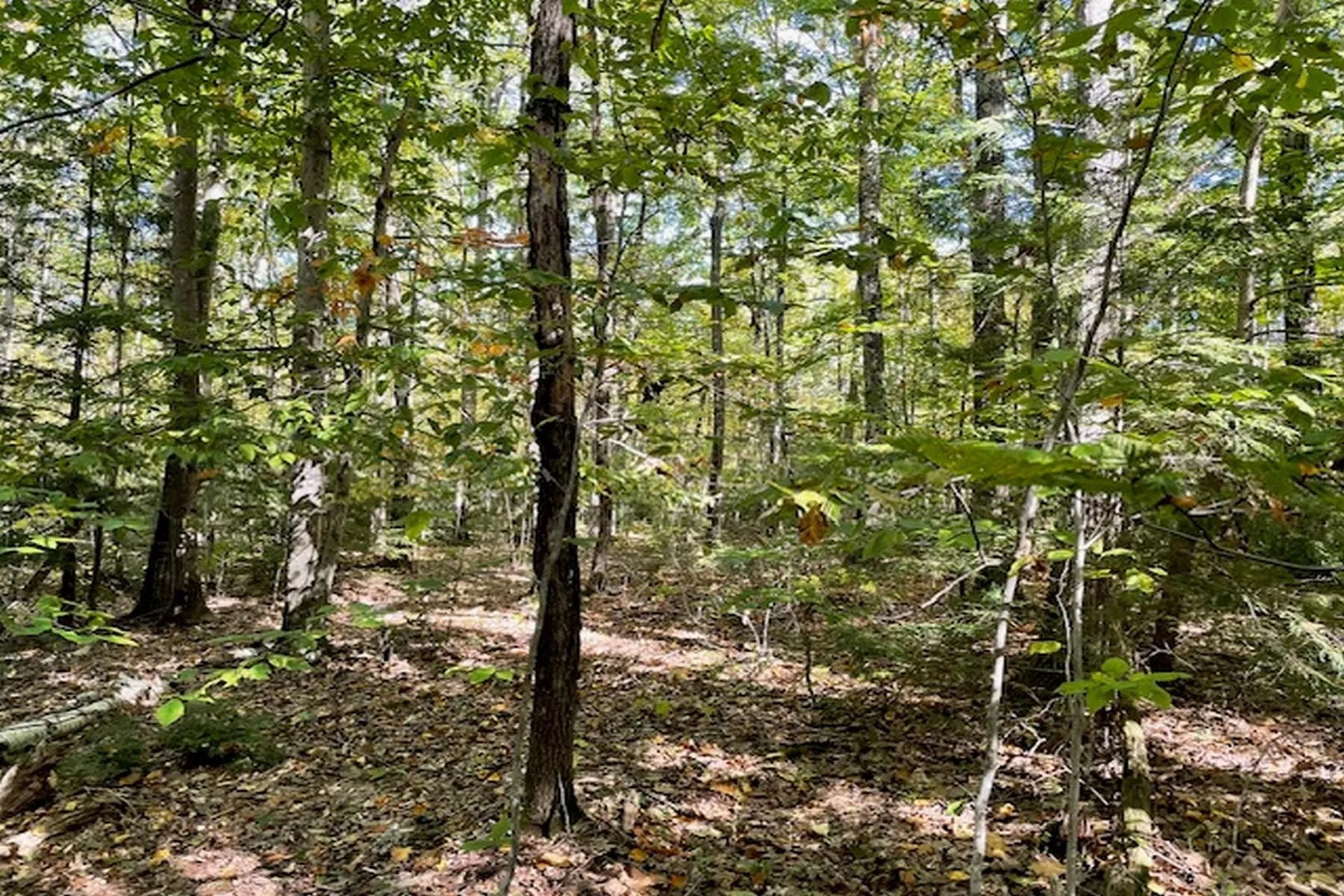 0 Route 123 Sharon NH 03458