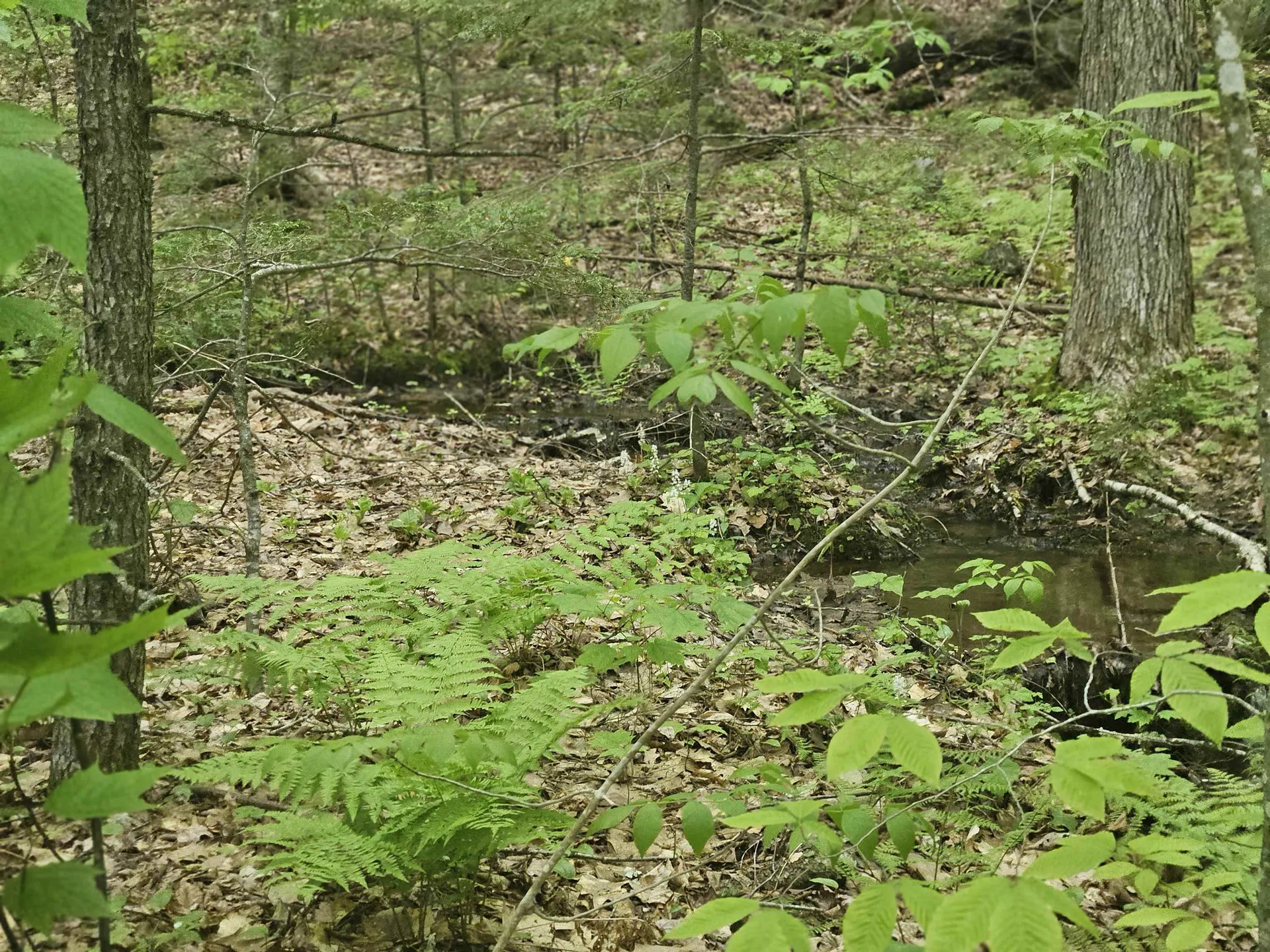 15-4-15 Beaver Brook Road Campton NH 03223