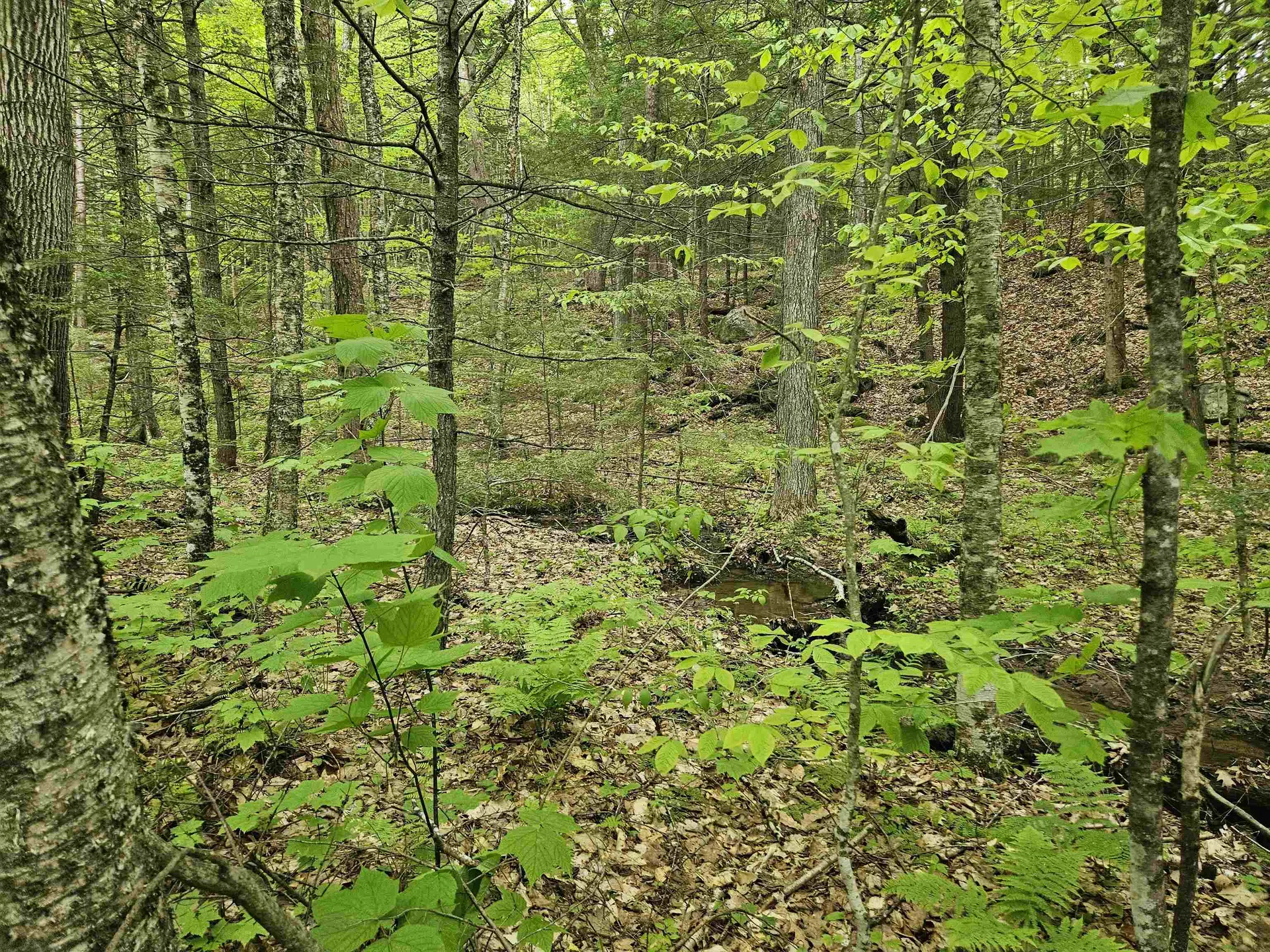 15-4-15 Beaver Brook Road Campton NH 03223