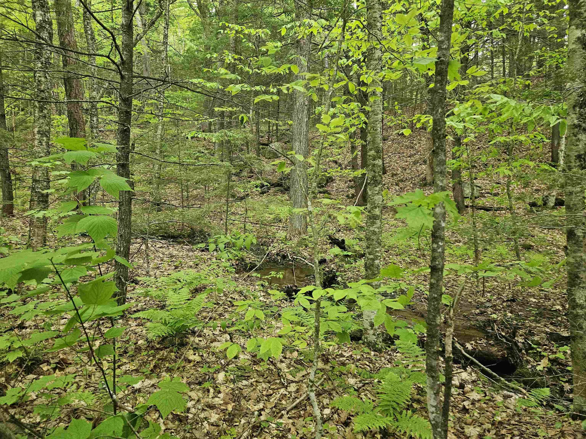 15-4-15 Beaver Brook Road Campton NH 03223