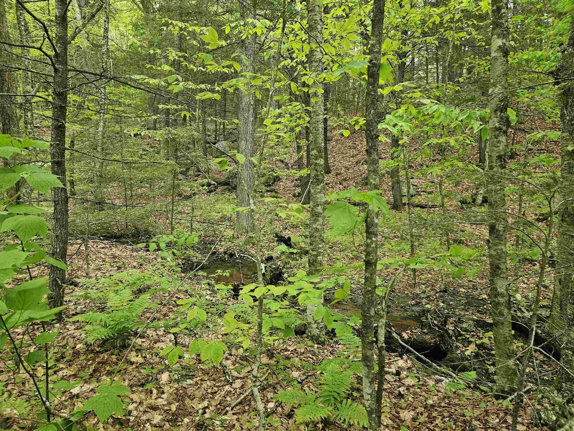 15-4-15 Beaver Brook Road Campton NH 03223