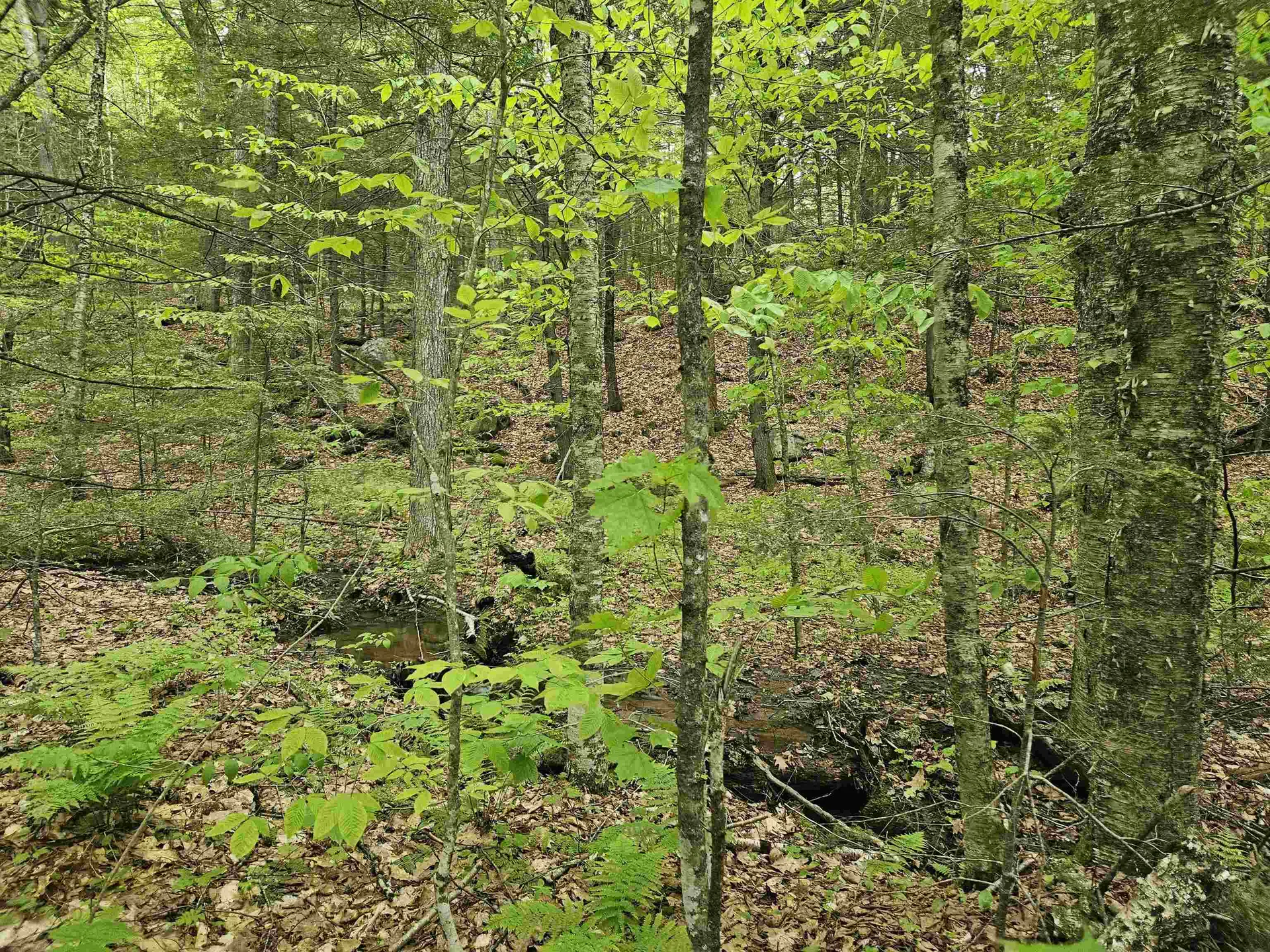 15-4-15 Beaver Brook Road Campton NH 03223