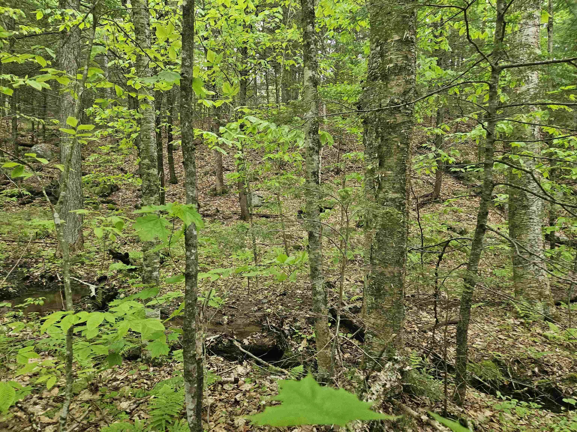 15-4-15 Beaver Brook Road Campton NH 03223