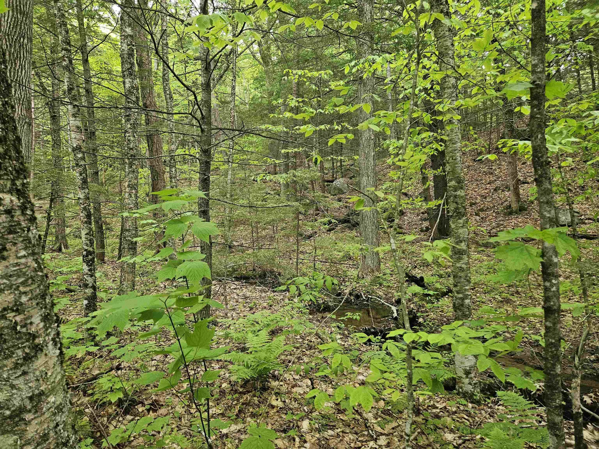 15-4-15 Beaver Brook Road Campton NH 03223