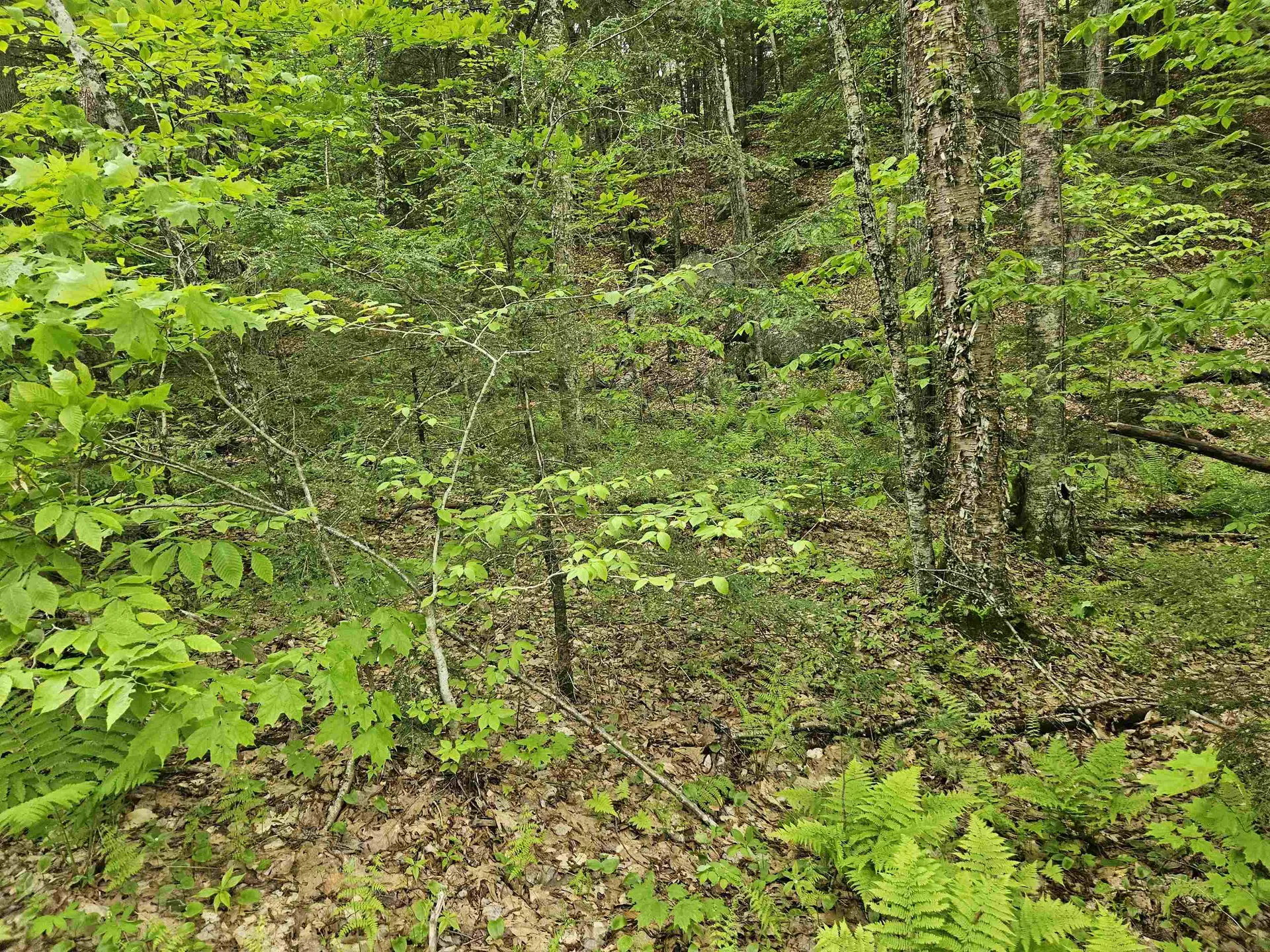 15-4-15 Beaver Brook Road Campton NH 03223