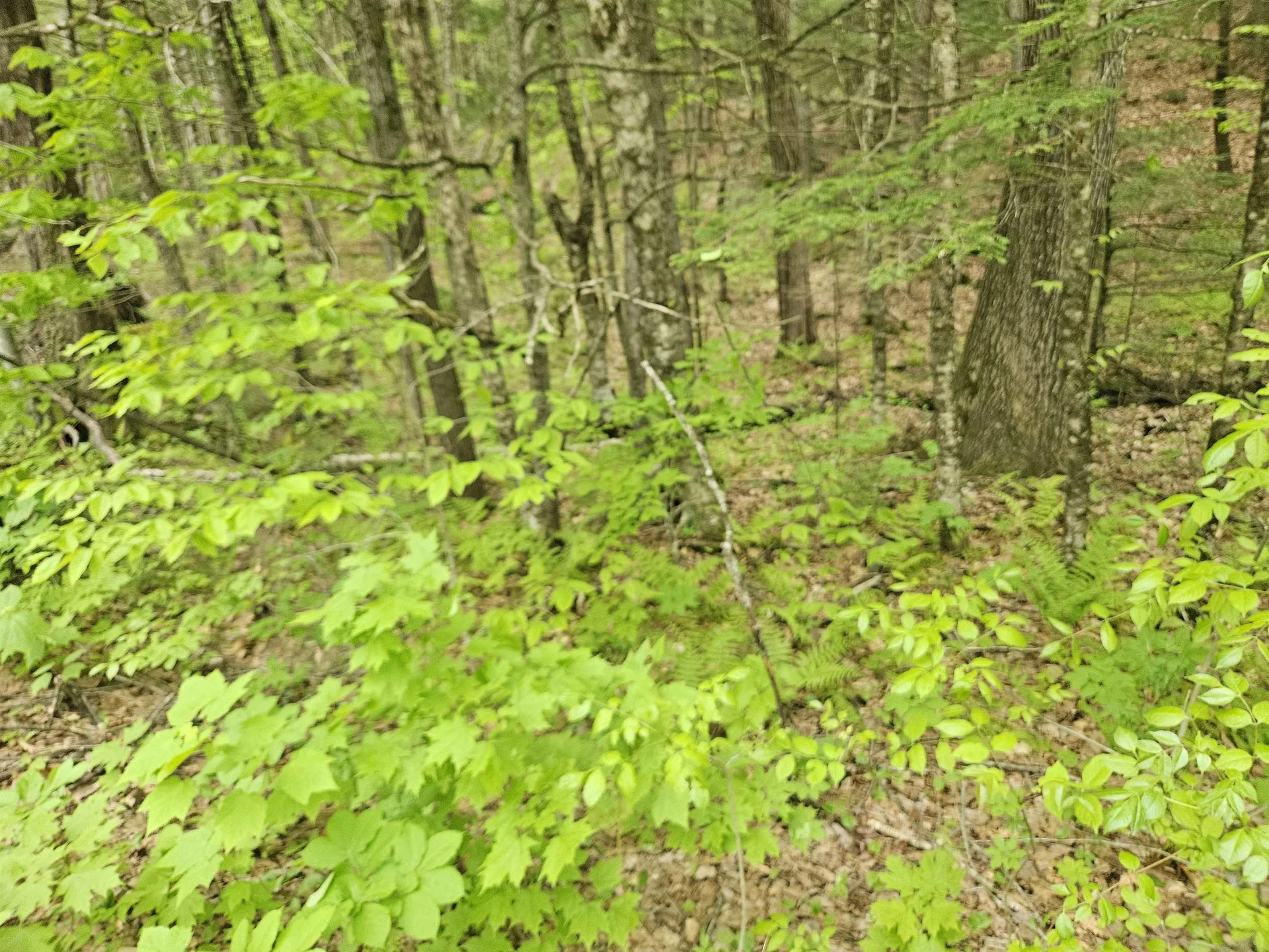 15-4-15 Beaver Brook Road Campton NH 03223