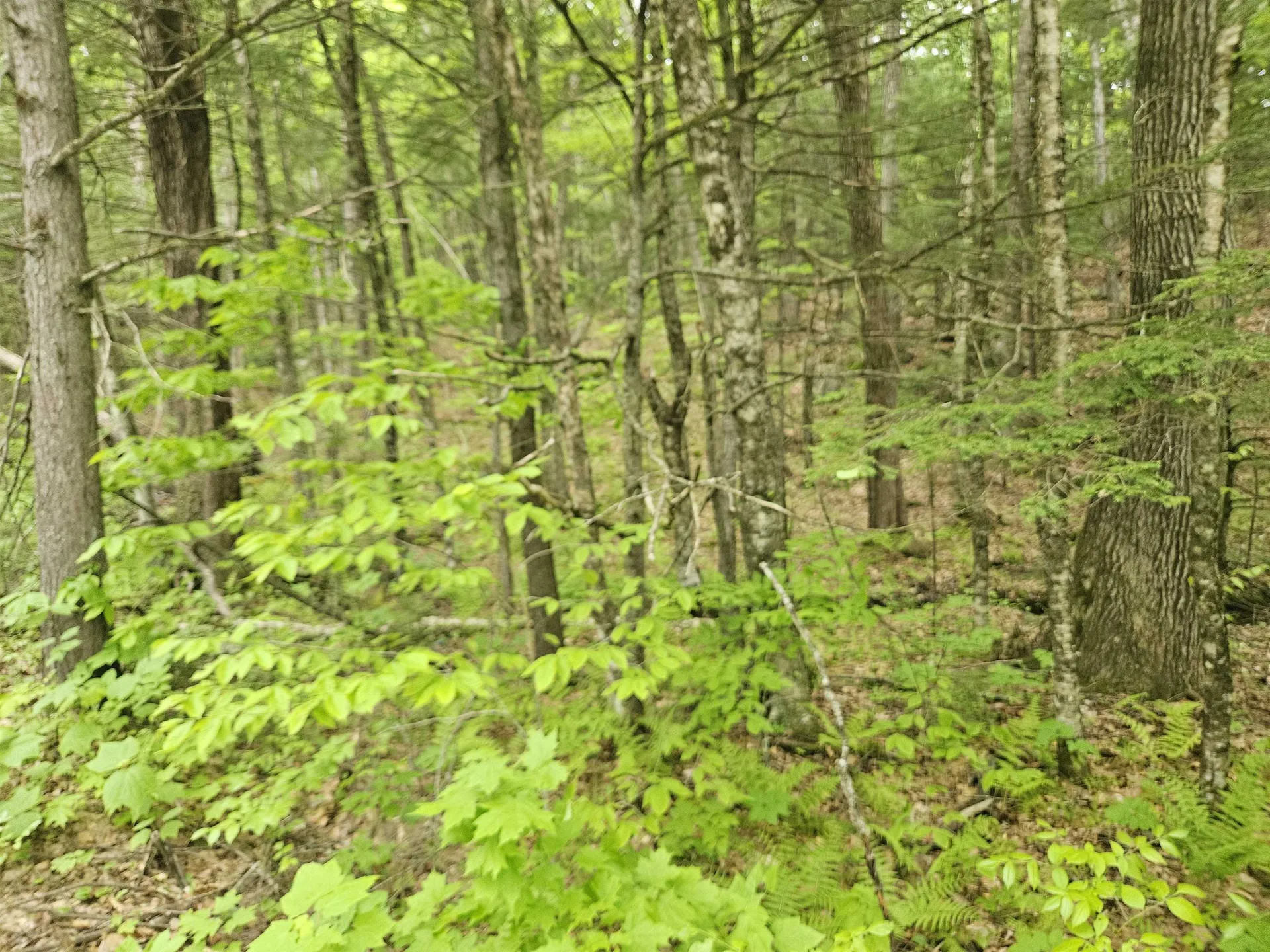 15-4-15 Beaver Brook Road Campton NH 03223