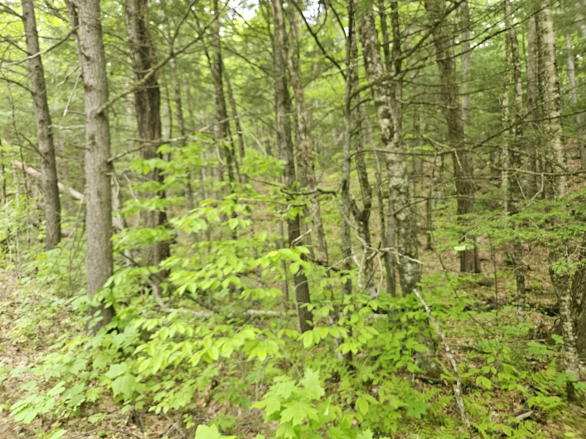 15-4-15 Beaver Brook Road Campton NH 03223