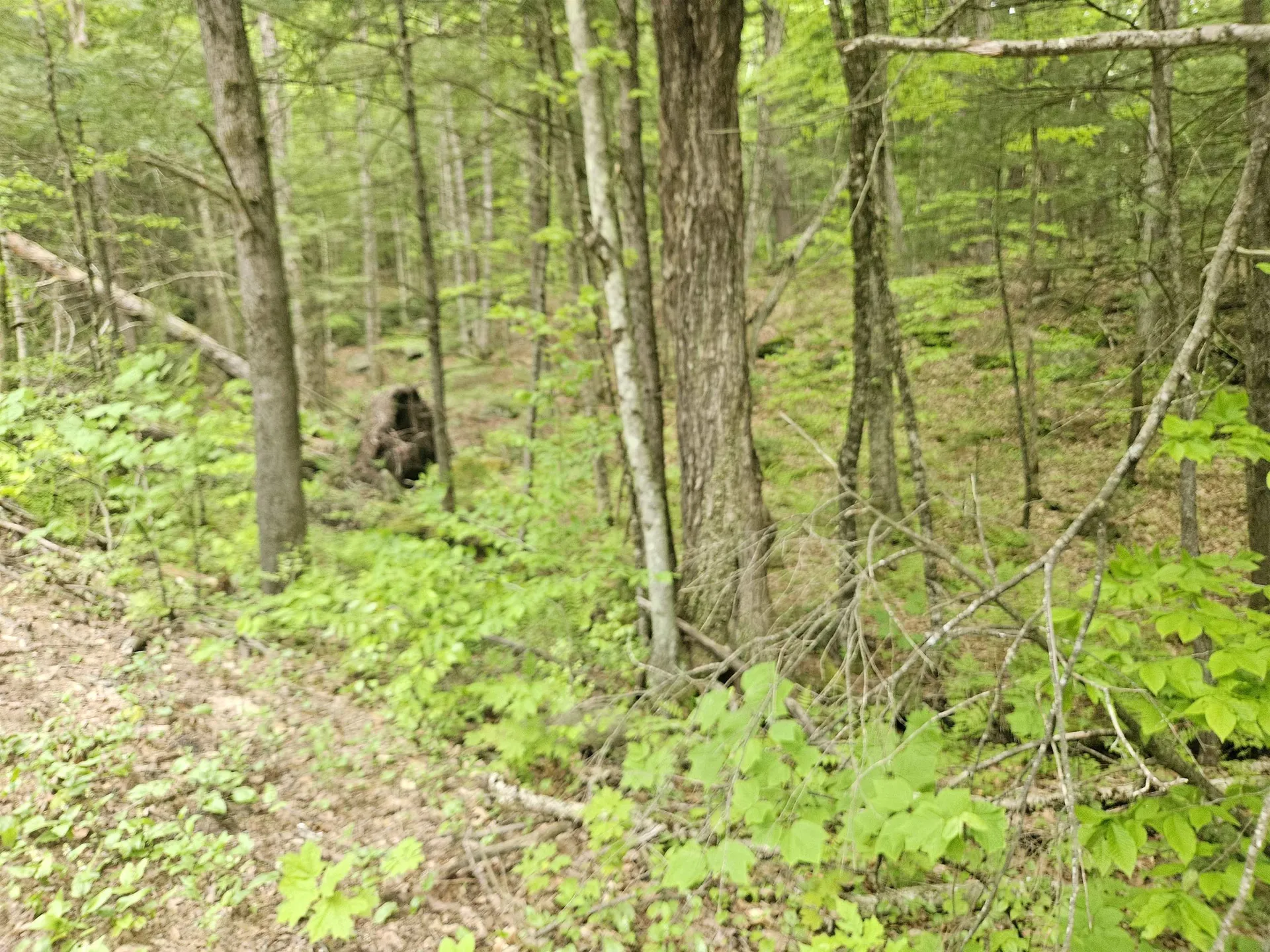 15-4-15 Beaver Brook Road Campton NH 03223