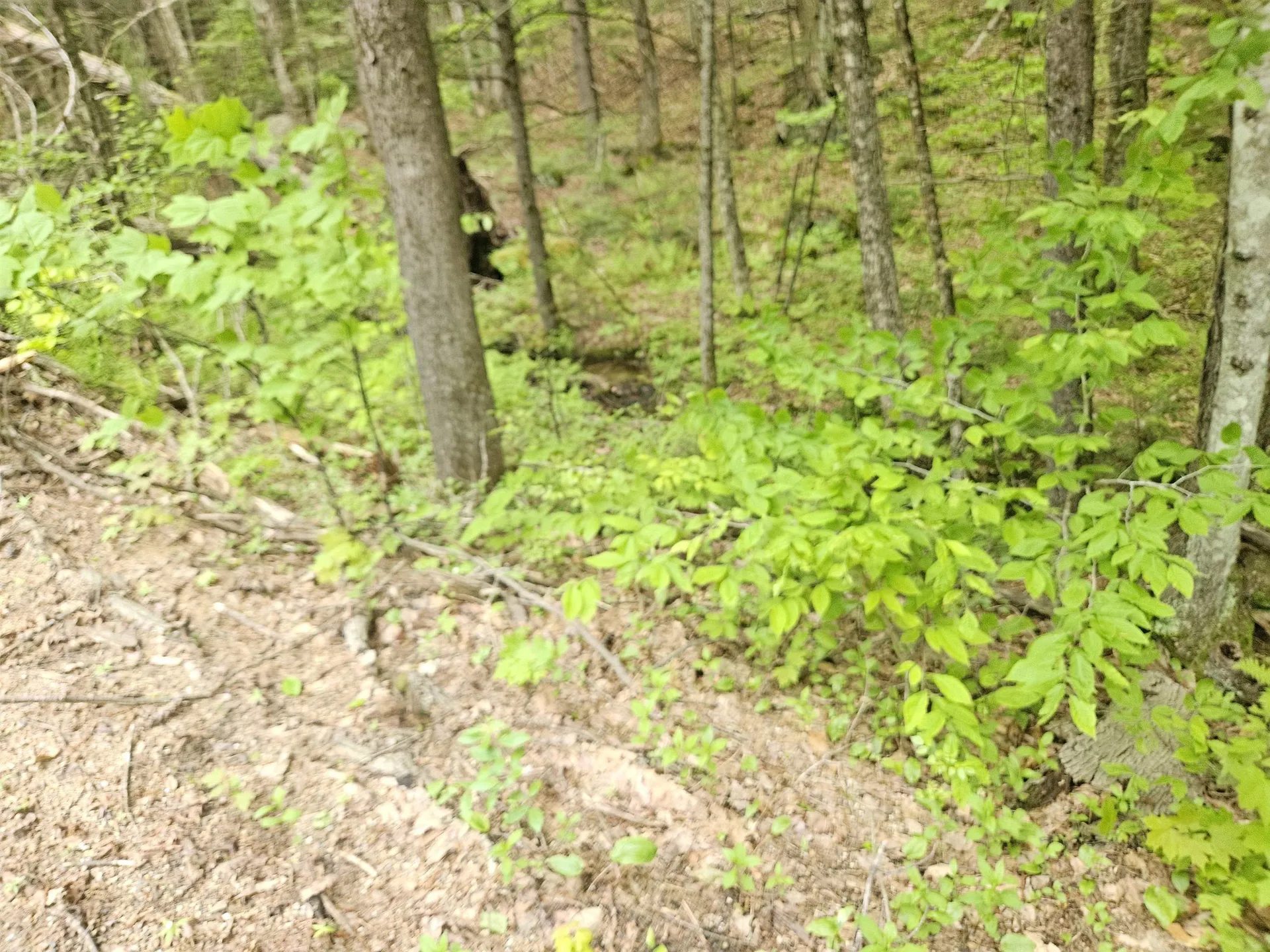 15-4-15 Beaver Brook Road Campton NH 03223