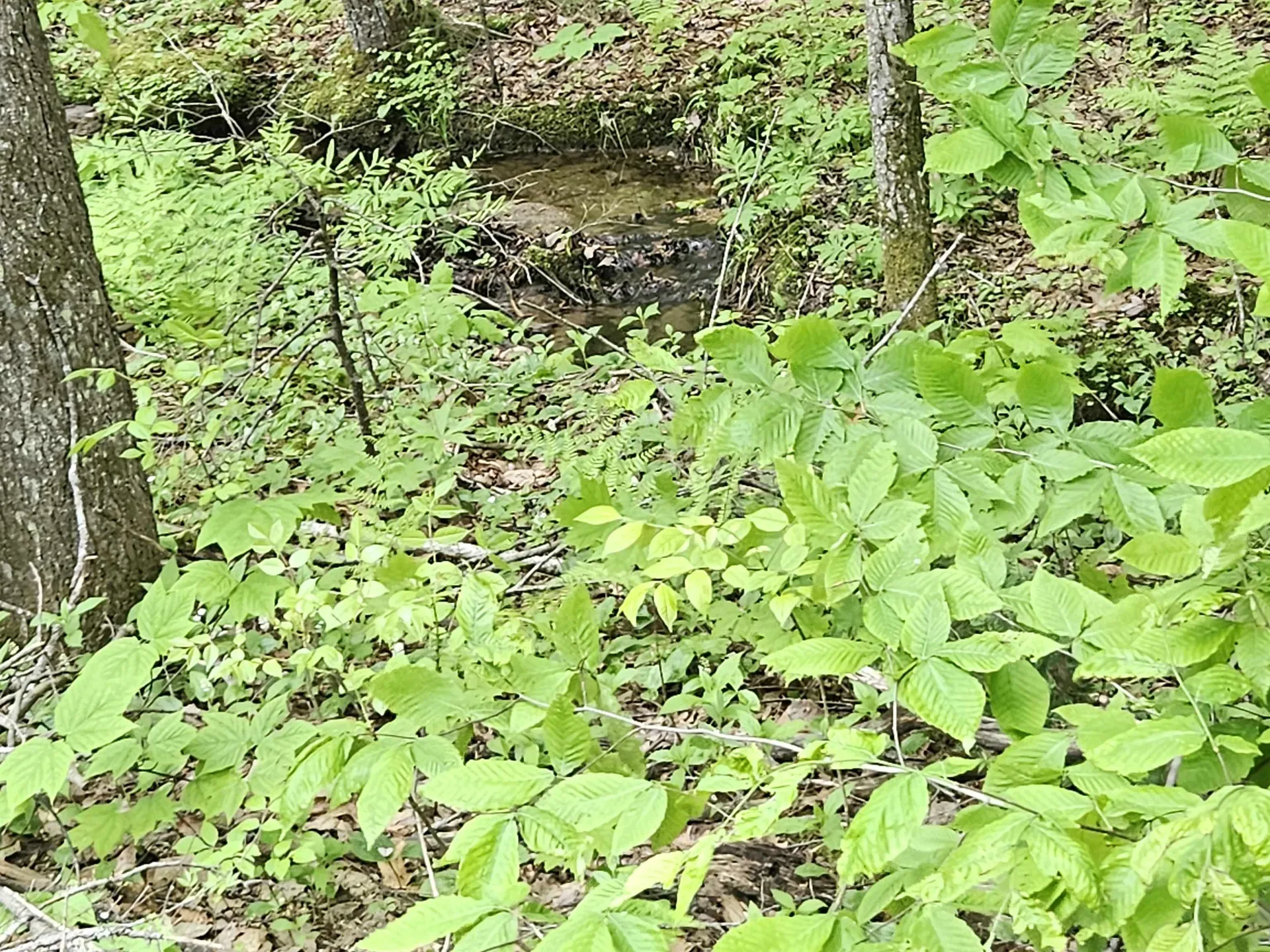 15-4-15 Beaver Brook Road Campton NH 03223