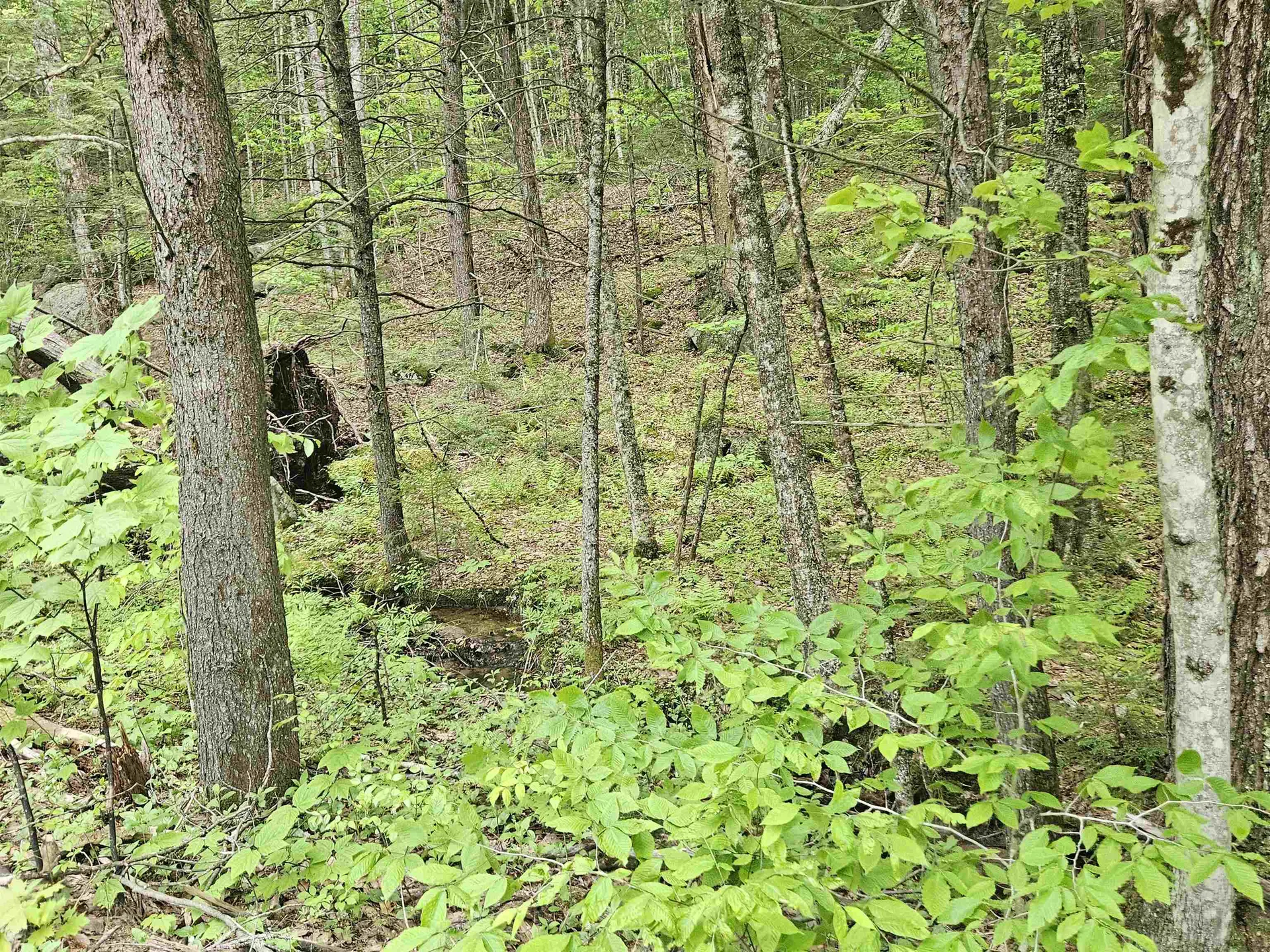 15-4-15 Beaver Brook Road Campton NH 03223