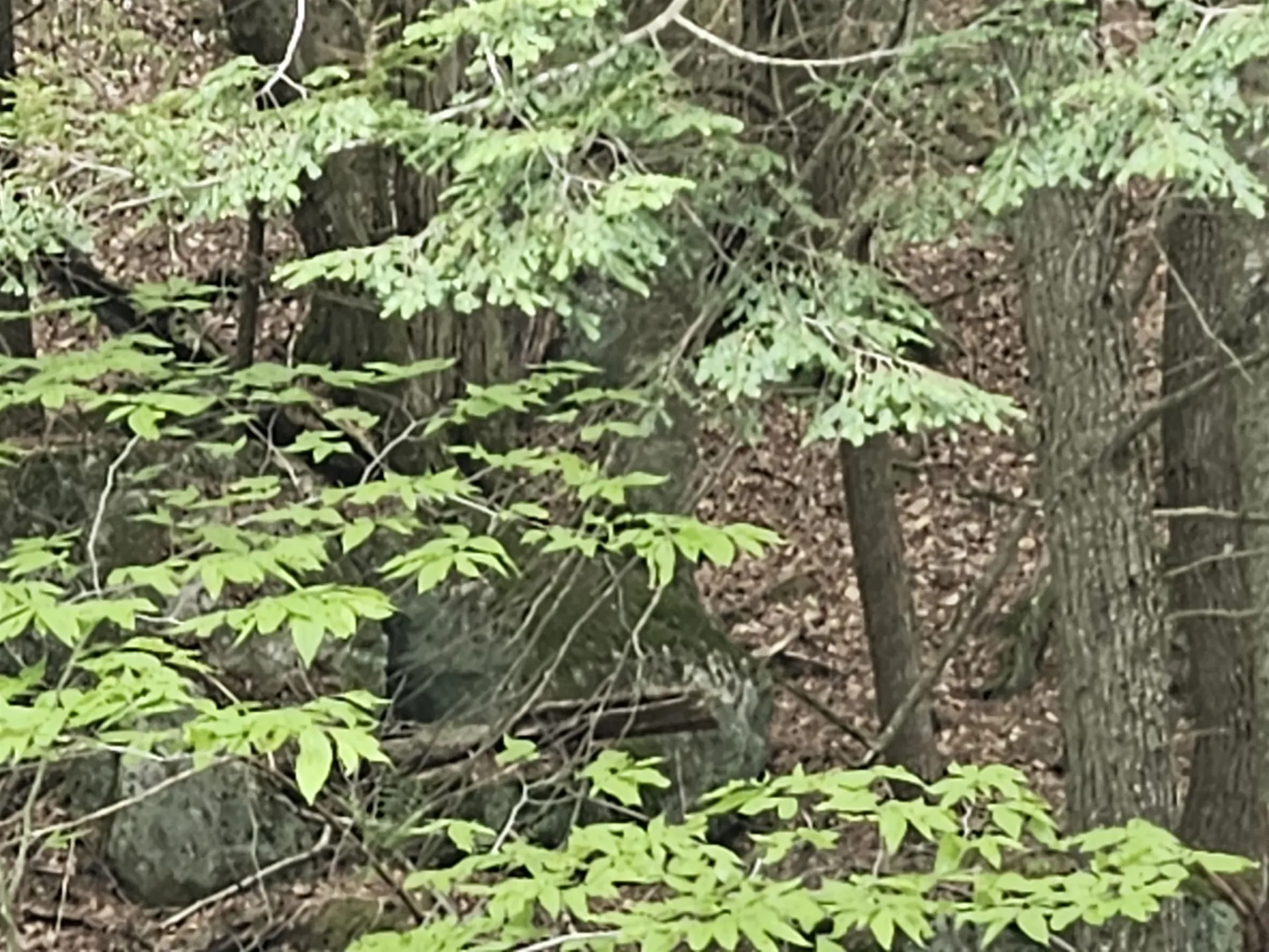 15-4-15 Beaver Brook Road Campton NH 03223