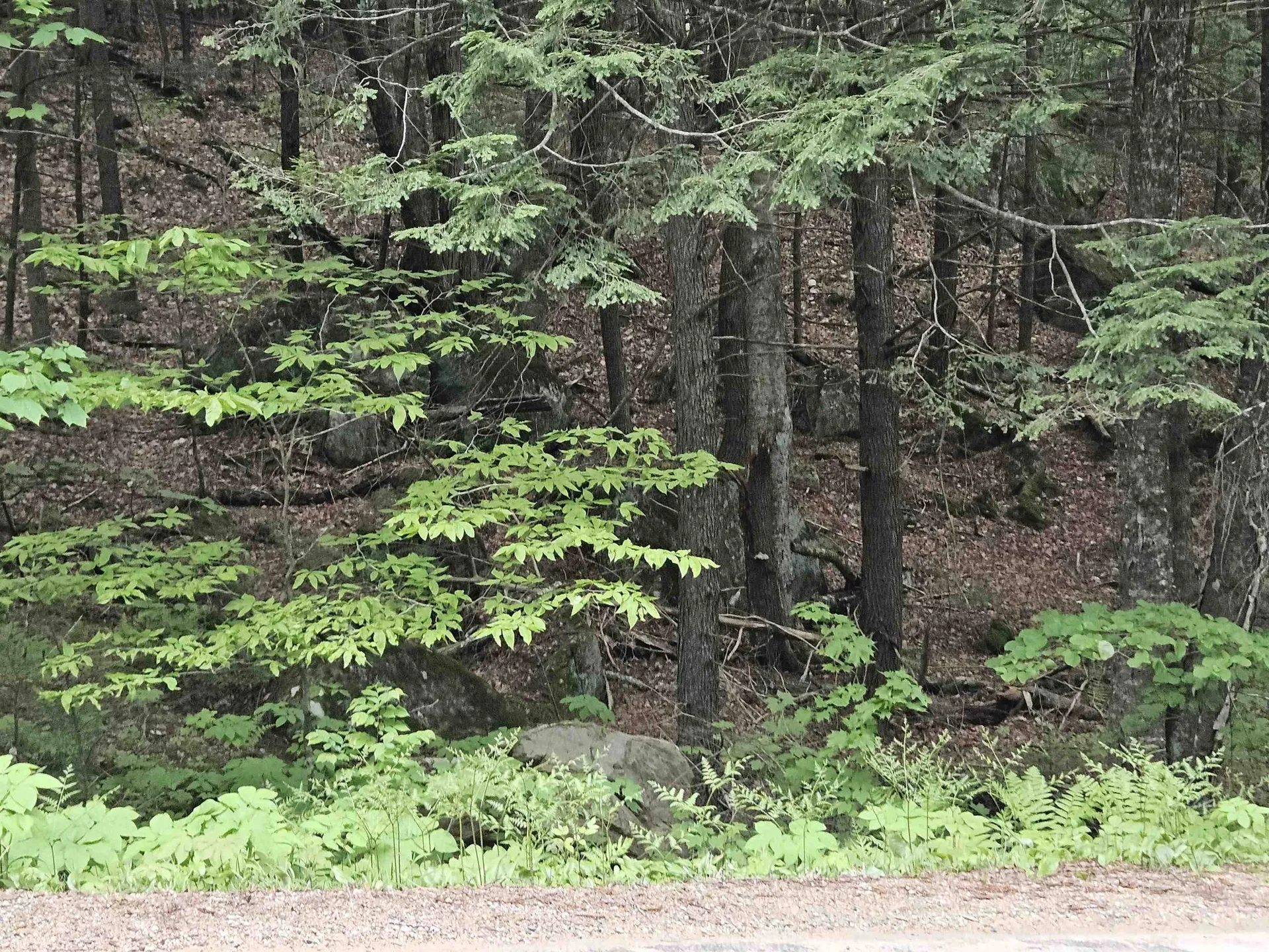 15-4-15 Beaver Brook Road Campton NH 03223