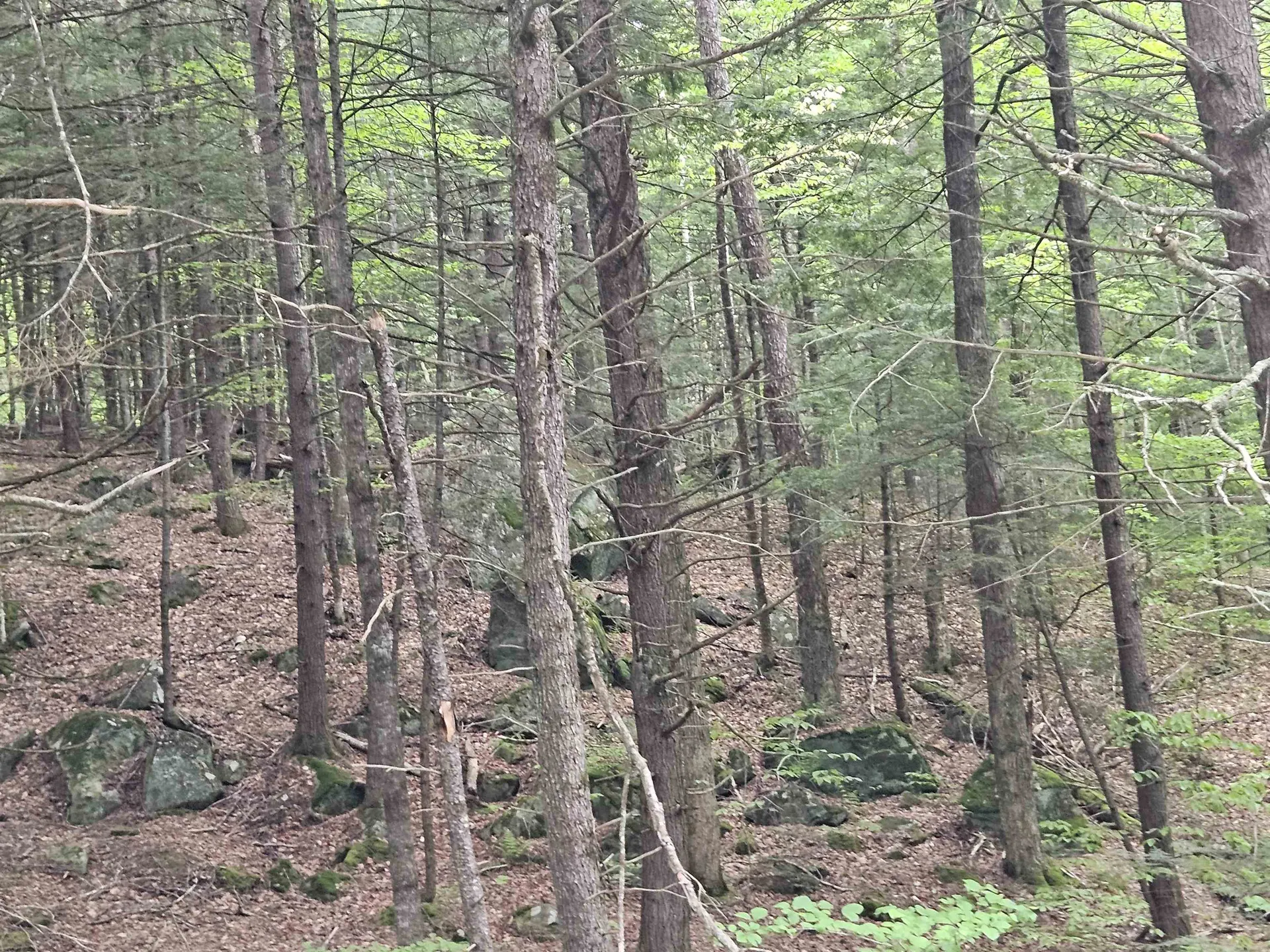 15-4-15 Beaver Brook Road Campton NH 03223