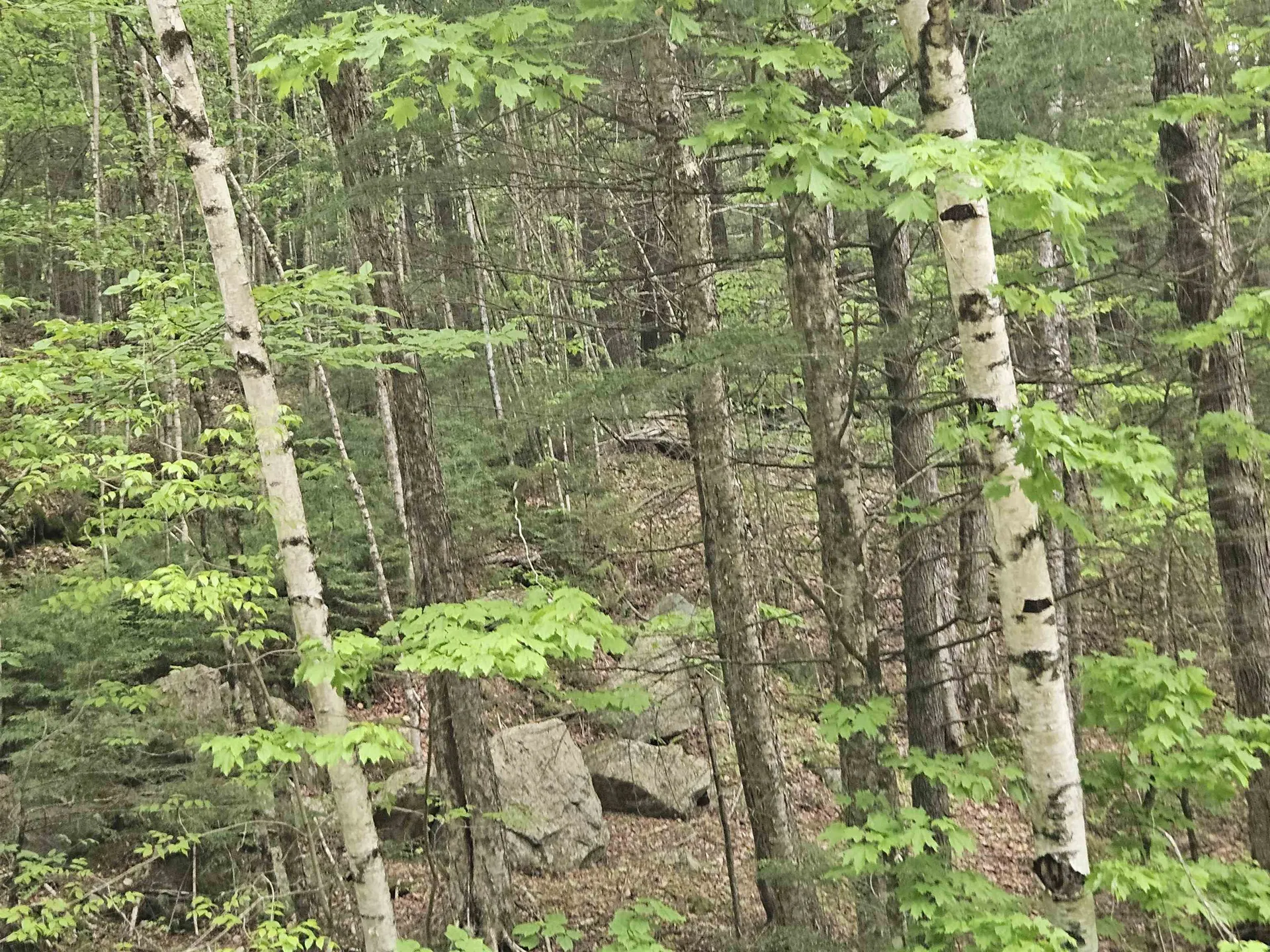 15-4-15 Beaver Brook Road Campton NH 03223