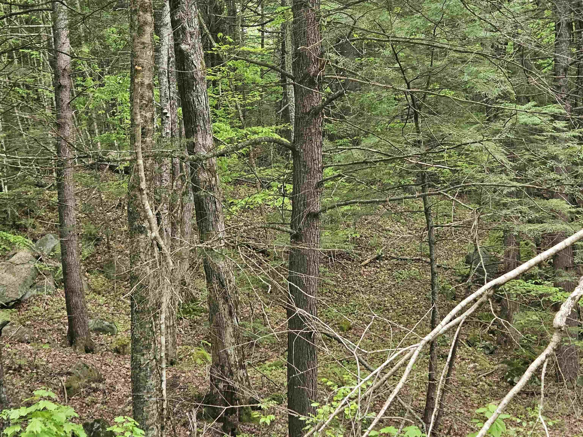 15-4-15 Beaver Brook Road Campton NH 03223